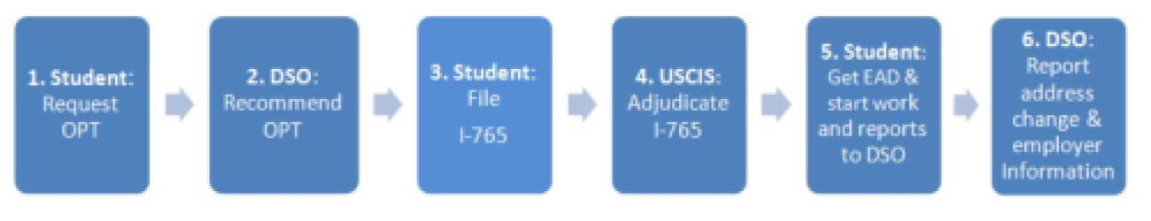 OPT Steps to apply